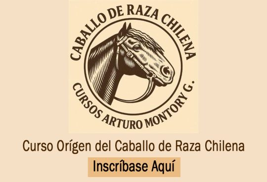 Cursos-1